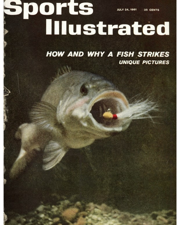42018 - Cover Image